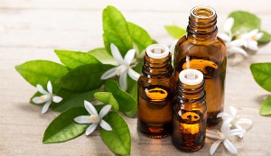 Therapeutic Essential Oils